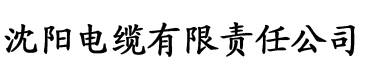 国产独立站免费直接进入电缆厂logo